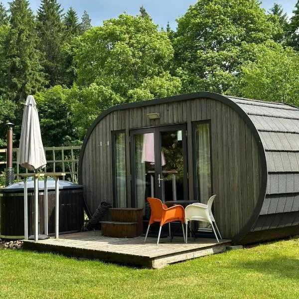 B&B Pod Lake Plateliai, hotel in Medsėdžiai