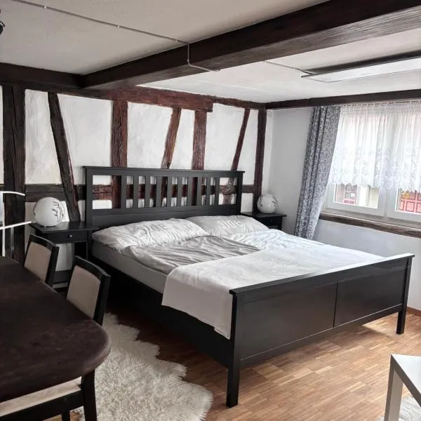 Im Herzen von Rebstein, hotel v destinaci Rebstein