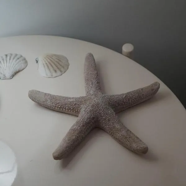 Apartamento Altea Centro, hotel v destinácii Altea