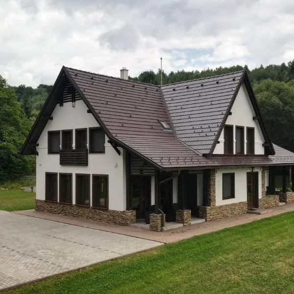 Mountain Paradise & Wellness, hotel in Izvoare