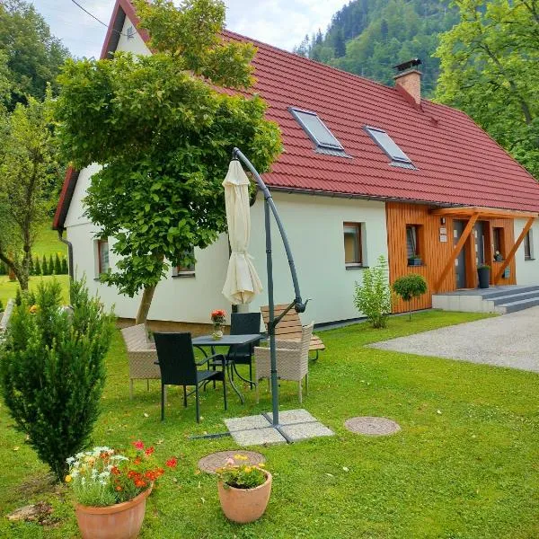 Apartmaji pri Dravi, hotel v destinaci Podvelka