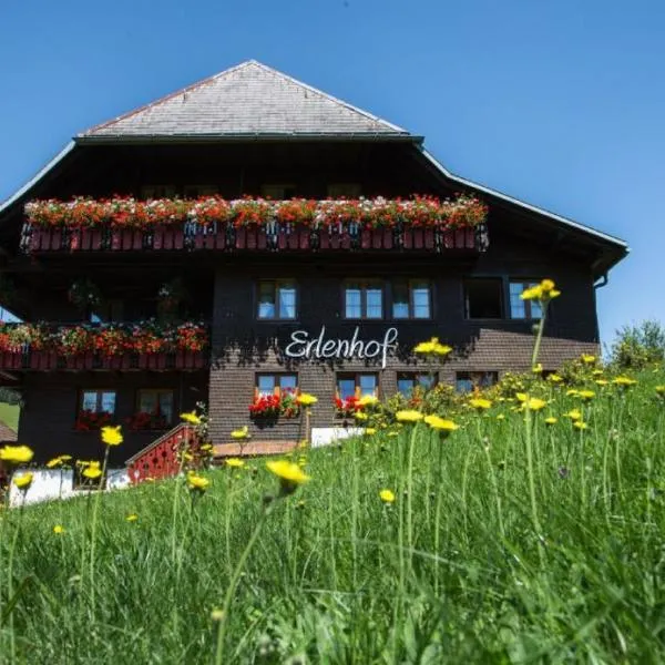 Erlenhof, hotel v destinaci Todtnau
