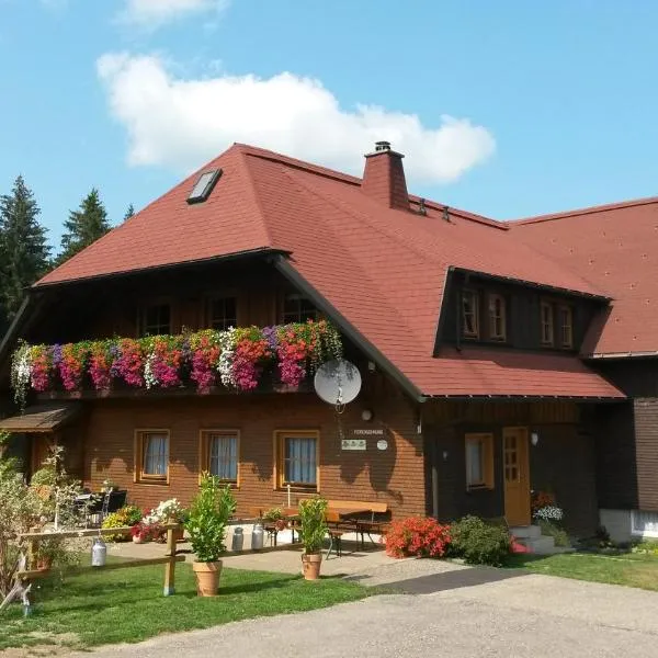 Ferienwohnung Reiner, hotel in Schonach