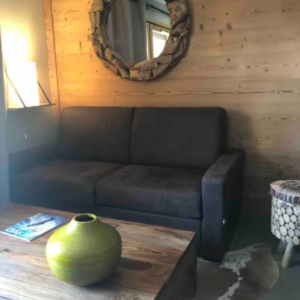 Appartement 6 personnes pied des pistes, hotel in Les Deux Alpes