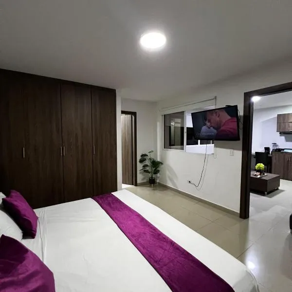 Apartamentos Deluxe La Flora, hotel v destinaci Versalles