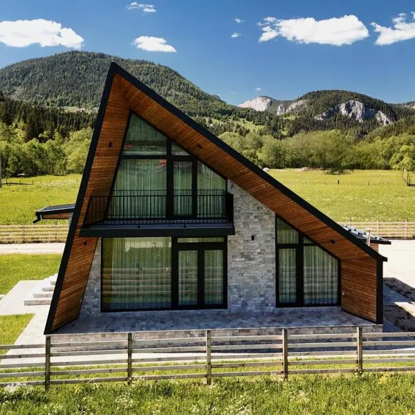 Elviu Guesthouse, hotel in Lacu Rosu