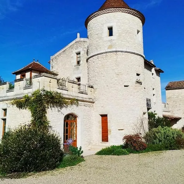 Château LA ROBERTERIE logement entier proche Saint Emilion, hotel in Juillac