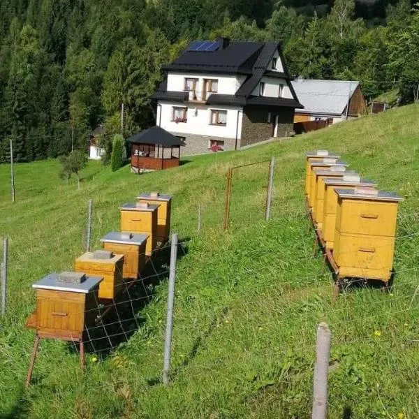 Agroturystyka Anna, hotell sihtkohas Ochotnica Górna