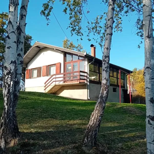 Sumska vila Zorica, hotel v destinaci Gornji Milanovac