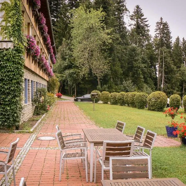 Berger's Bergsicht by edita, hotel v destinaci Scheidegg