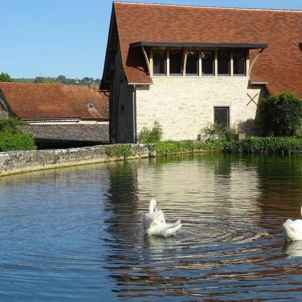 moulin de vasiliere, hotel a Salles-Courbatiès