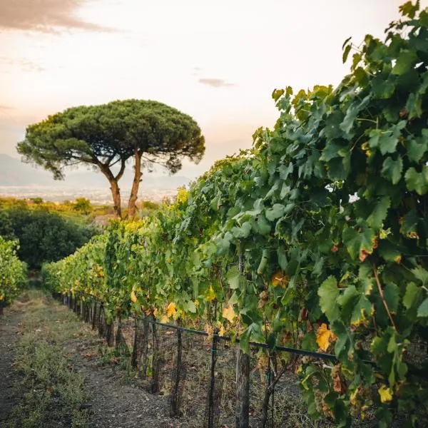Vigna delle Rose, hotel v destinaci Trecase