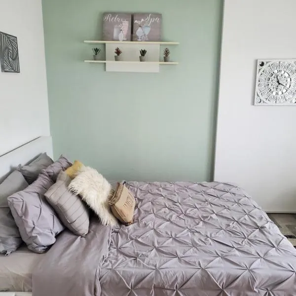 Relax Spa Apartment Novi Sad-Private Parking, hotel v destinaci Novi Sad