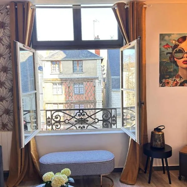 Le Cinq, Appartement de charme Place Saint Pierre Saumur, hotel in Saumur