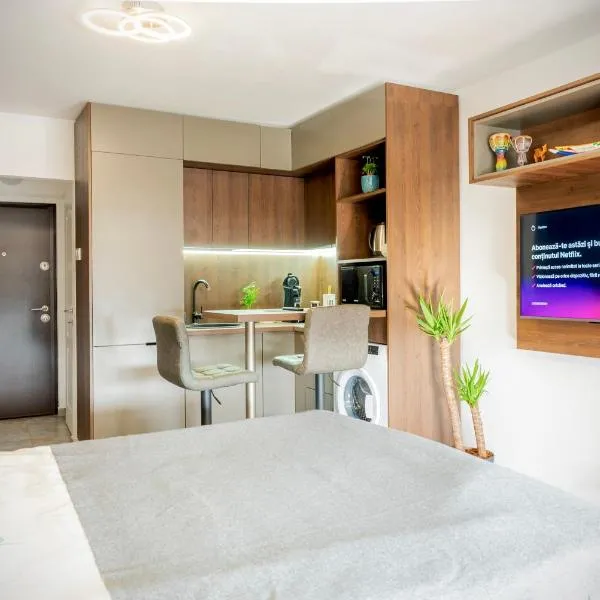 3 Vis-a-Vis Studio - Gara de Nord, хотел в Букурещ