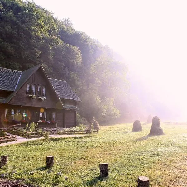 Pensiunea Dacica, hotel em Boşorod