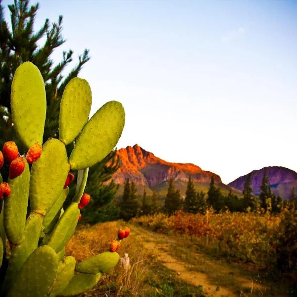 Modderkloof Farm Accommodation, hotel di Paarl