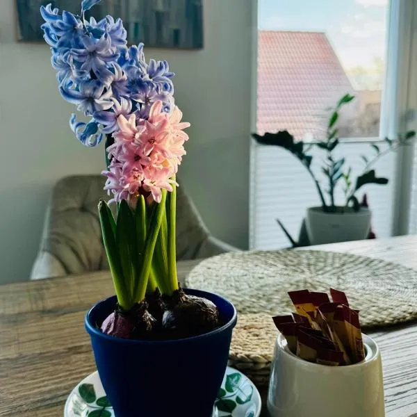 gemütliche Ferienwohnung mit Garten, Hotel in Pürgen