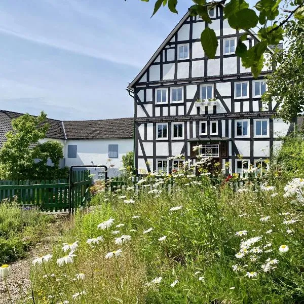 Hof Hallenberg, מלון בהלנברג