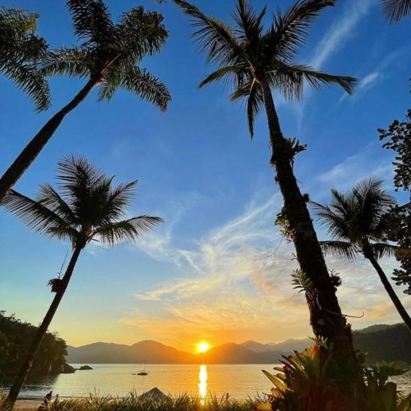 paraiso tropical