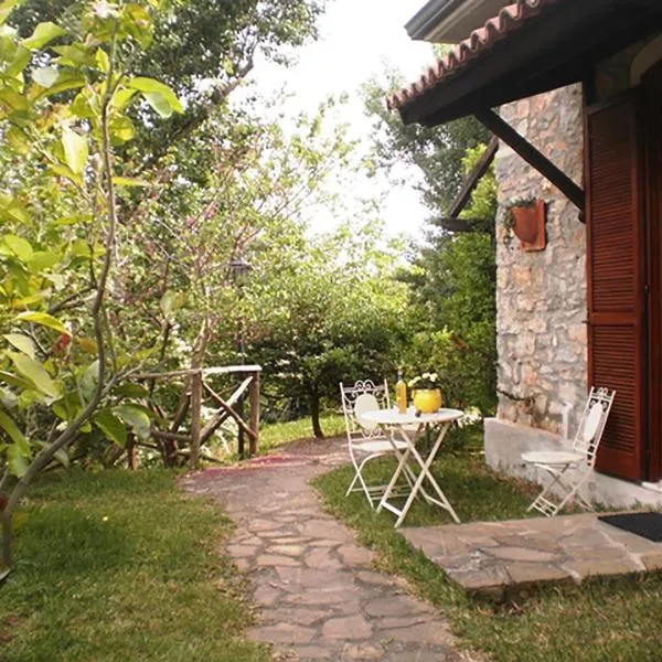 La Gabbianella e il Gatto, hotel a Castellabate