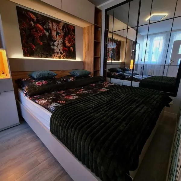 Apartament Gwiezdna 15, hotel in Legnica