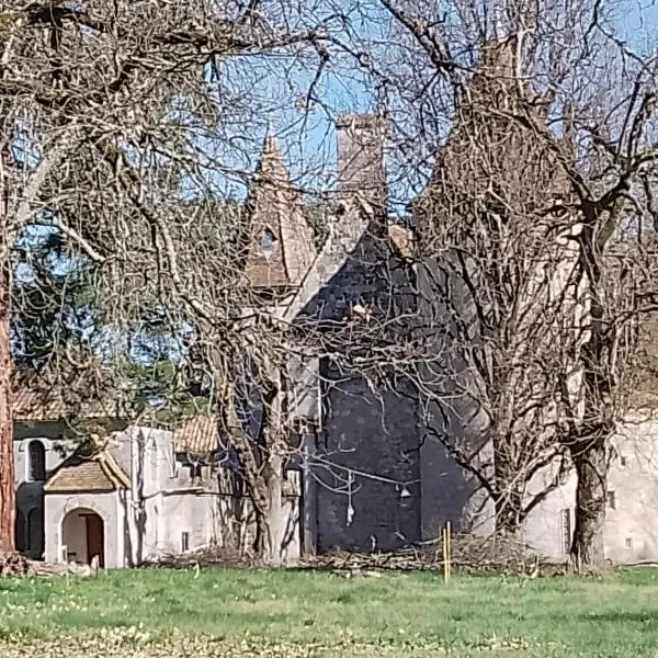 Apartment in a Renaissance castle, ξενοδοχείο σε Layrac