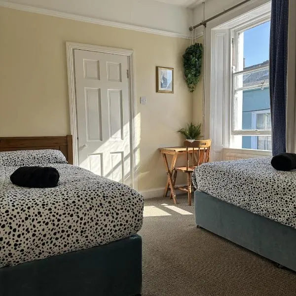 The Grapevine Hostel, hotel v destinaci Dingle