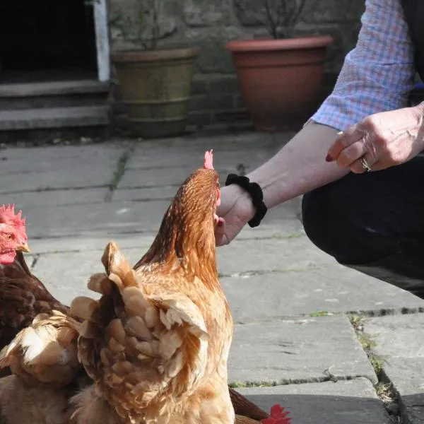 Little Tidebrook Farm, מלון בWadhurst