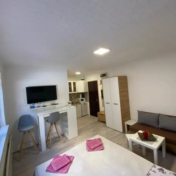 Apartmani Krčmarica 9, hotel v destinaci Divčibare