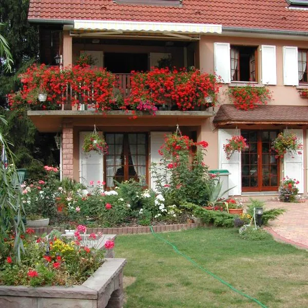 Studio CHAMPETRE F1, hotel en Sainte-Marie-aux-Mines