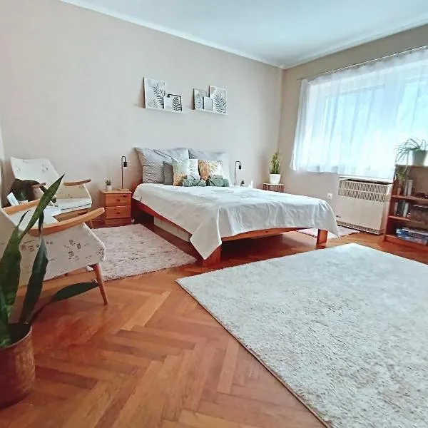Tulipán Apartman, hotel Békéscsabán