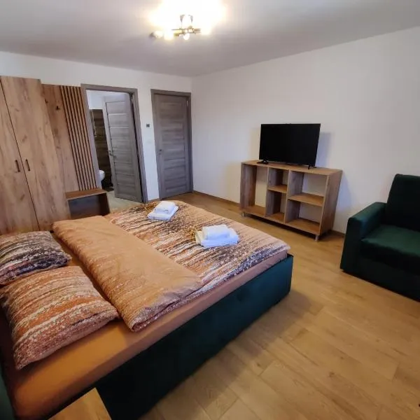 Casa Toplita, hotel in Topliţa