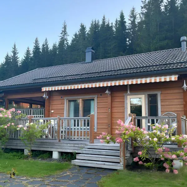 Villa Aurora, hotel v destinaci Kouvola