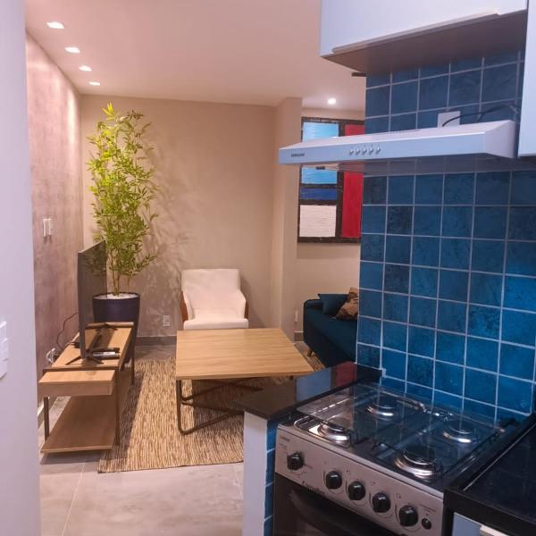 Unique ONE bedroom apartament-IPANEMA - Foto 4