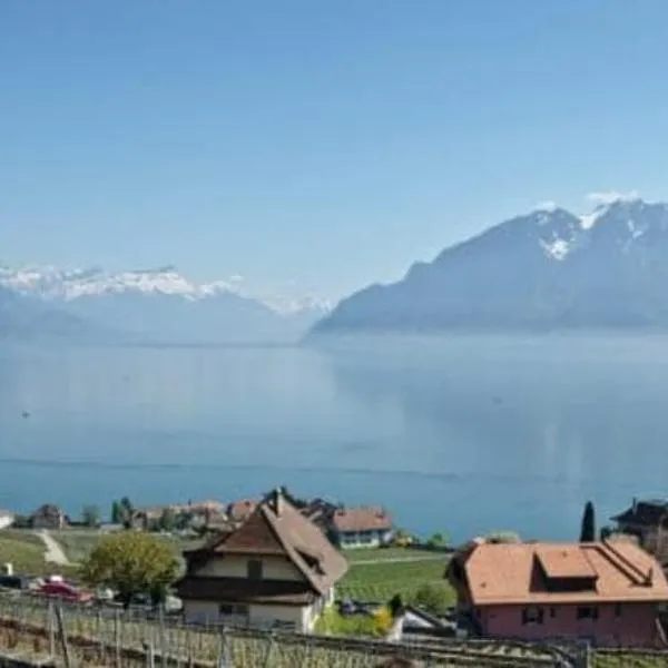 Superbe Studio en Plein Centre à Lausanne Gare, hotel v destinaci Lausanne