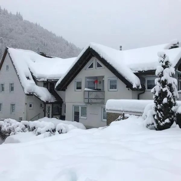 Ferienwohnung Ella, 95qm, Terrasse, hotel v destinaci Todtnau