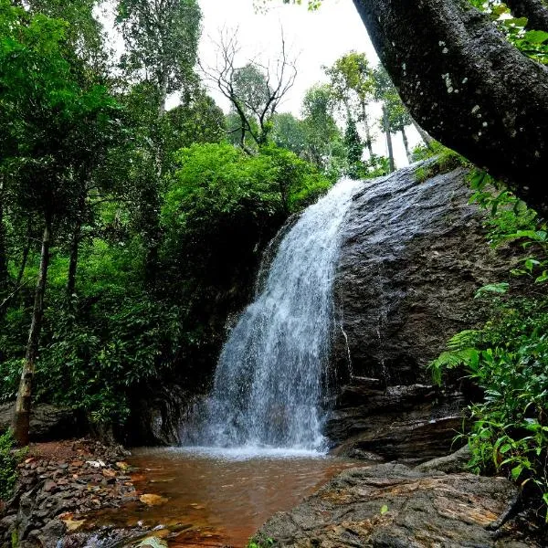 Karadikallu Homestay - Private Waterfalls, Hill Top, Home Food, hotel en Sakleshpur