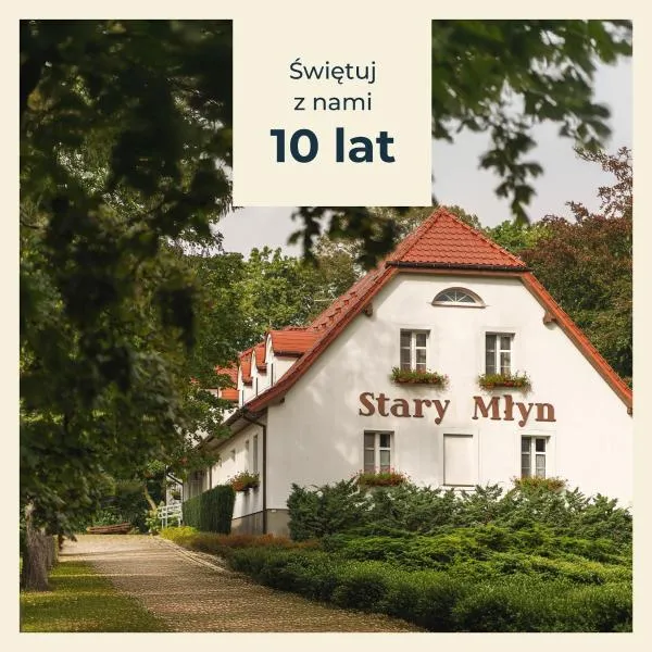 Stary Młyn Strzeszyn - Soft All Inclusive, hotel in Łubowo