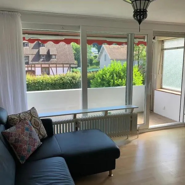 Simple Rhine view apartment, hotel v destinaci Busingen am Hochrhein