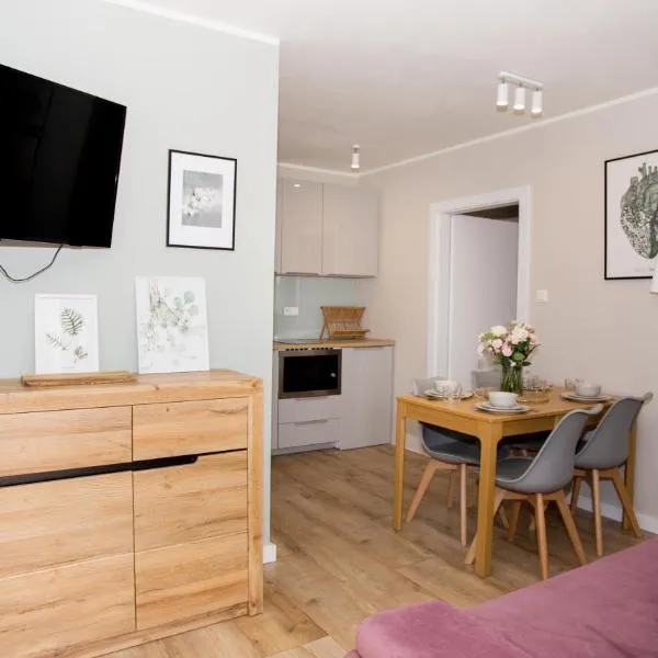 Apartamenty Dębowe, hotel in Debina