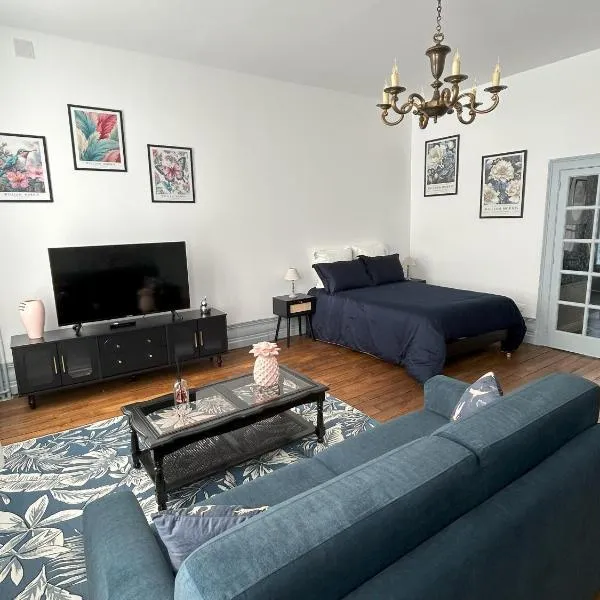 Appartement centre ville, Hotel in Châteauroux