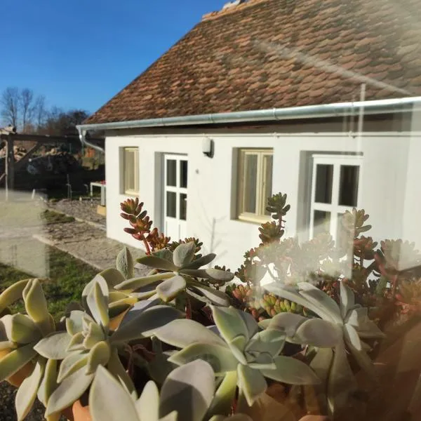 Casa Via Viscri، فندق في Buneşti