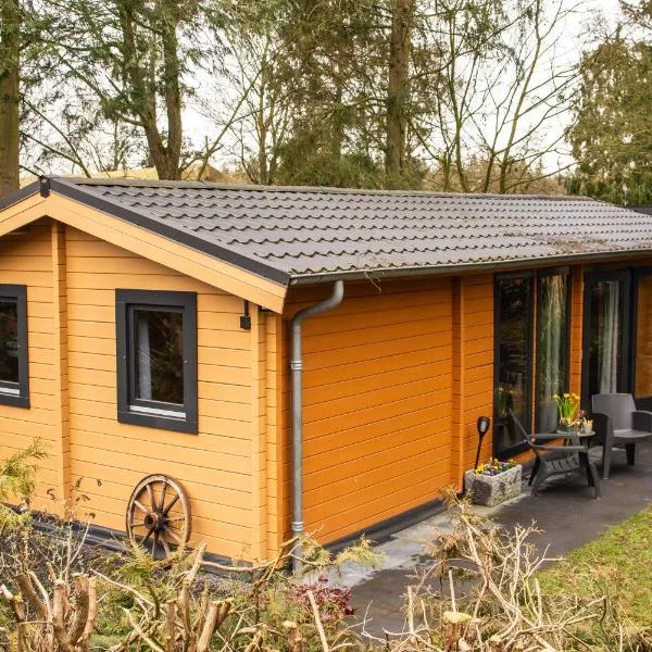 Charmant, gezellig en knus 5p chalet op Veluwe naast Sauna Drome, hotel v destinaci Putten