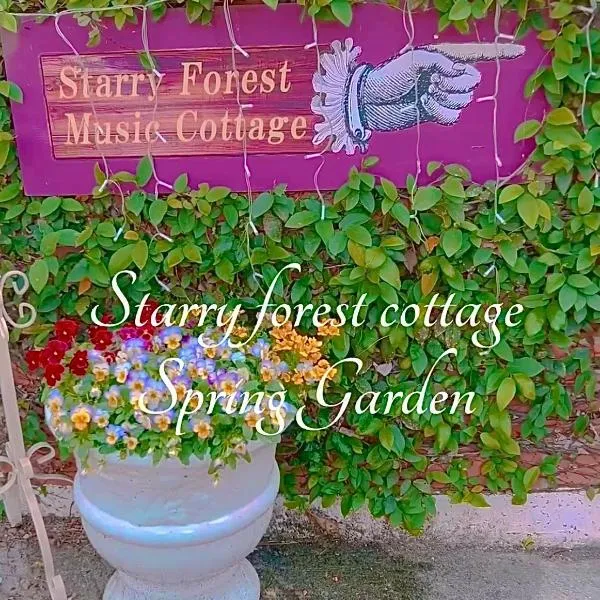 猫とピアノと星空のリゾートブティックコテージ -Starry Forest Cottage Okinawa-、恩納村のホテル