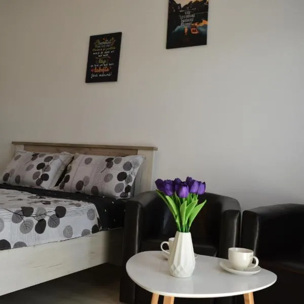 Studio C&L، فندق في Sînpetru