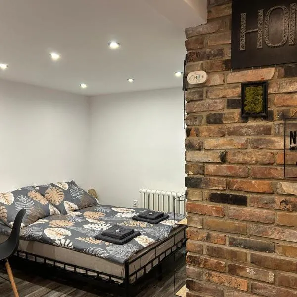 Cherry Street Apartment, Hotel in Wolsztyn