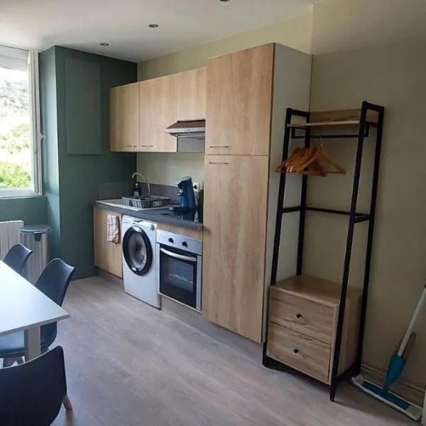 Apartment T2 l'ARENA, hotel en Saint-Chamond