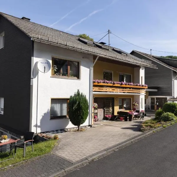 Pension OTTO, hotel in Netphen