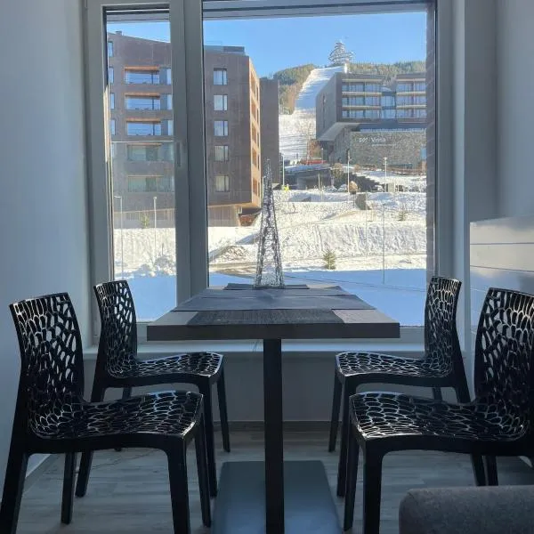 Apartment with a view of the ski slope，位于多尔尼莫拉瓦的酒店